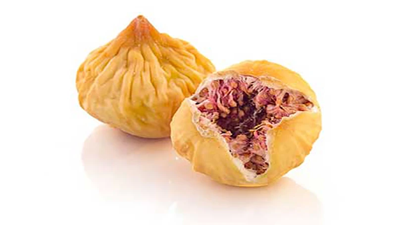 117 cover dried fig 01