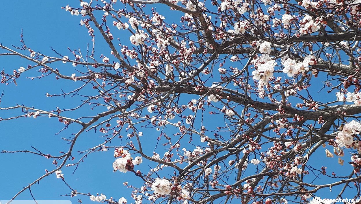 57eb2b60 a078 11ef 83b1 c9246f93e2e7