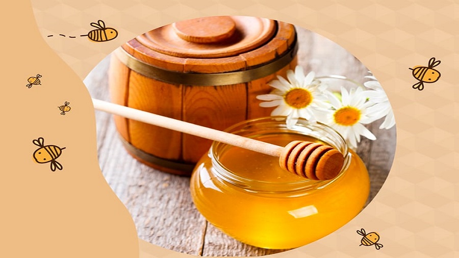 عسل زول: رازها و معناهای پنهان در دنیای گرانبهای زنبورها