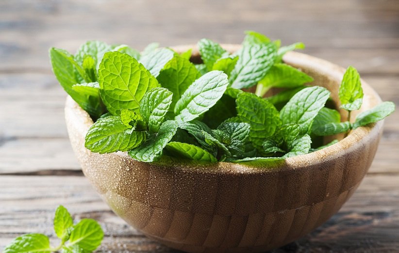 Mint Leaves