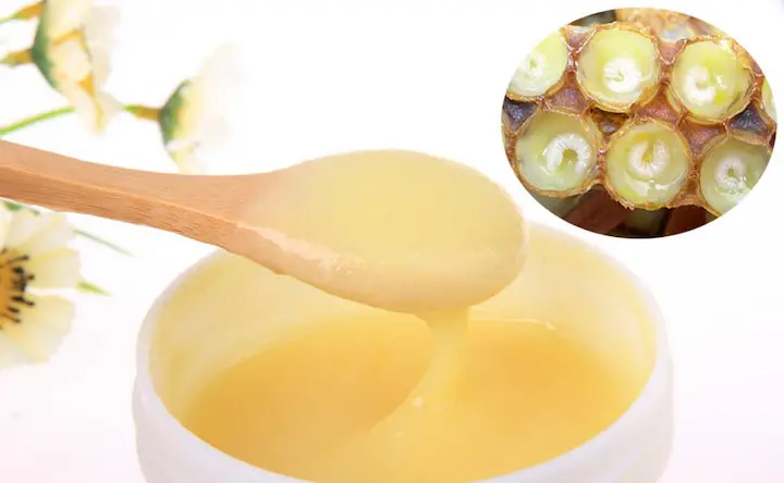 ژل رویال چیست؟ کشمکش رمانتیک بین عسل و زنبورها