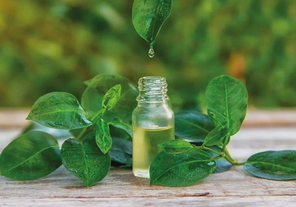 benefit tea tree oil for skin