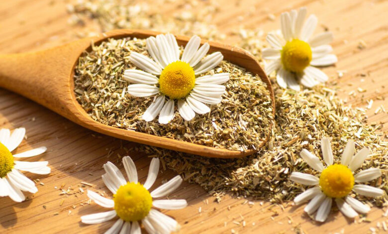 chamomile kh mg4 780x470