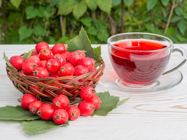 hawthornberrytea