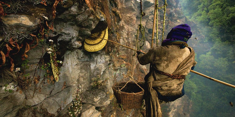 عسل کوهستانی اصیل: فروش محصولی طبیعی از دل طبیعت