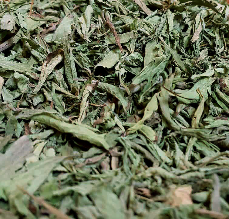 photo 2023 02 05 10 04 24 e1675580075591