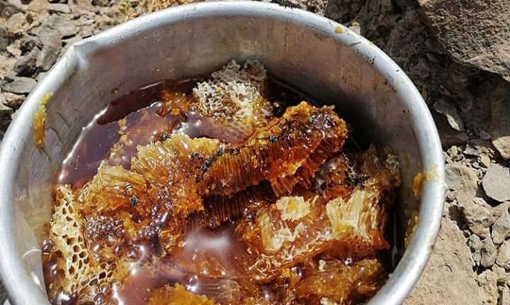 wild honey
