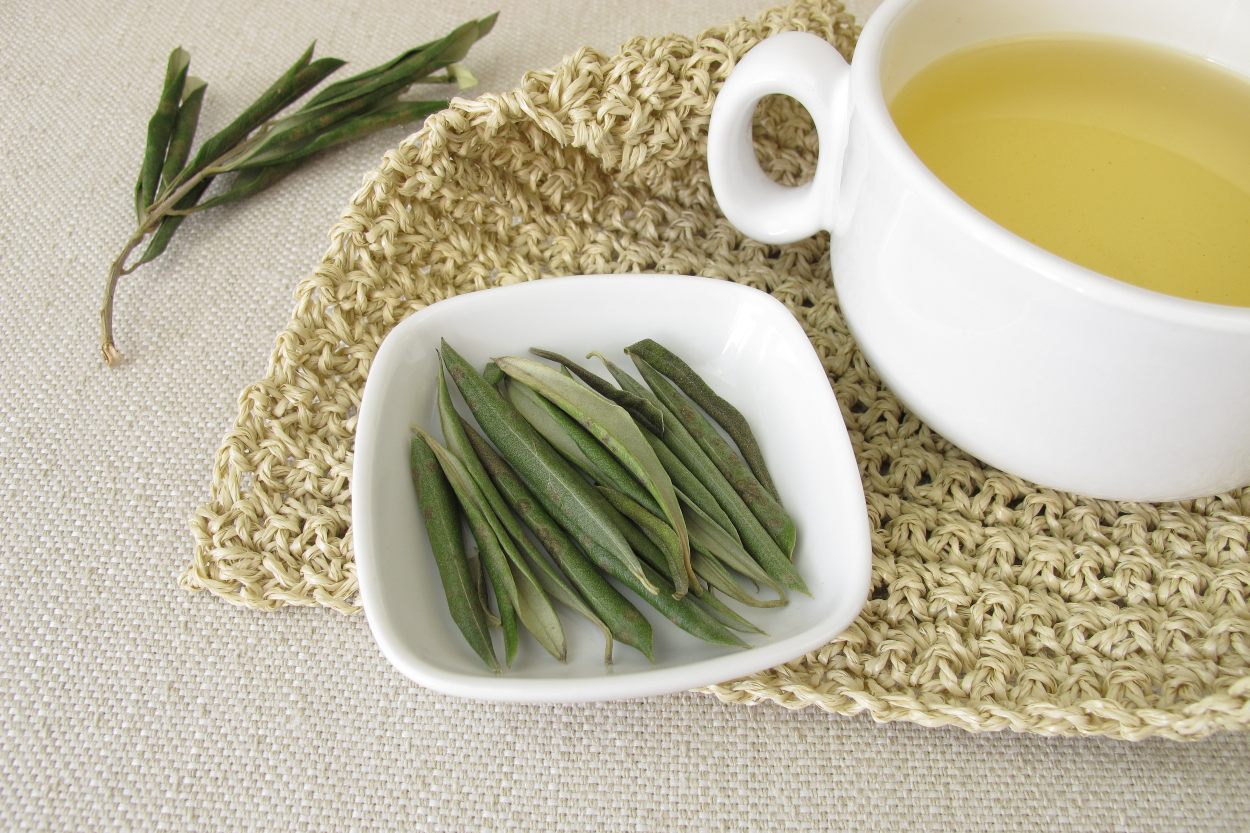 zeytin yapragi cayi faydalari 1