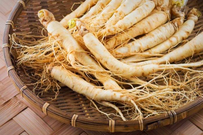جینسینگ در بارداری 71263