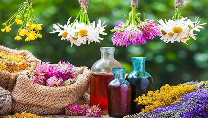 خواص گیاهان دارویی 1