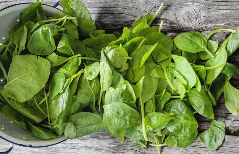 Leaf spinach and colander on wood