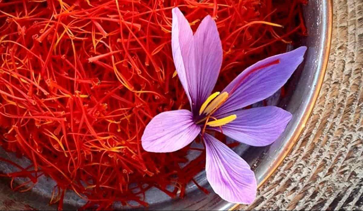 Saffron BaKhanevade.com 01