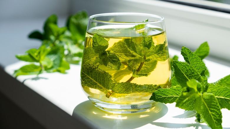 herbal tea bakhanevade 19